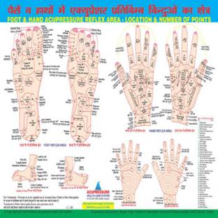 Reflex Area_Numbers Charts Acupressure Paper Print