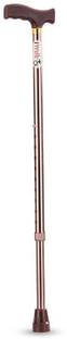 IWALK Imported Walking Stick