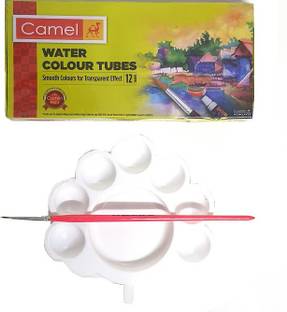 Camlin T SET FOR PAINTING