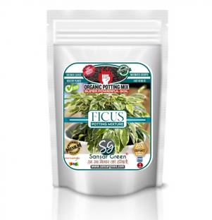 Sansar Green Ficus Potting Mixture, Essential Super Powerful Organic Soil Mixture for Ficus Plants with Active Micro Organism and ++ Growth Booster Potting Mixture