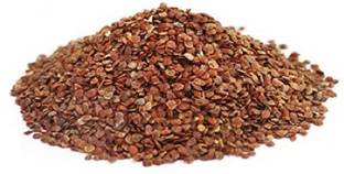 Hardia Talmakhana Kokilaksha Iksura TAAL MAKHANA ASTERACANTHA root Seed