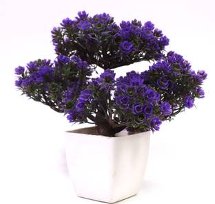 Dekorly Bonsai Wild Artificial Plant  with Pot