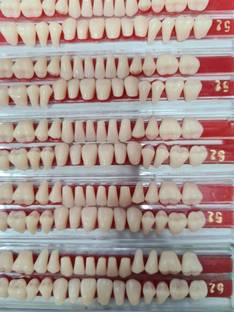 pyrax Shade Of 24 Acrylic Teeth Kit Dental Elevator