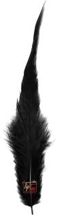 Tiptop Decoration Pack of 50 Decorative Feathers