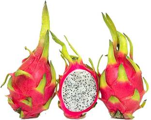 Paudha Dragon Fruit Seed
