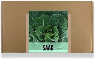 CYBEXIS Fast Germination Saag Seeds2800 Seeds Seed