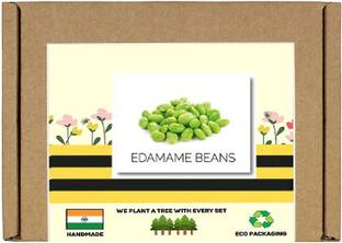 CYBEXIS F1 Hybrid Edamame Beans Seeds-100 Seeds Seed