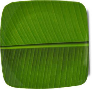 लसरबोट Kela Patta Banana Square Leaf South Indian Round Ice Cream Starters Serving Melamine FULL Plate for All Occasions ( 10.5 Inch) डिनर प्लेट
