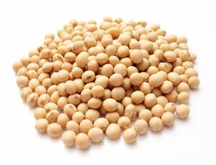 SIDDHI Organic Yellow Soya Bean (Whole)