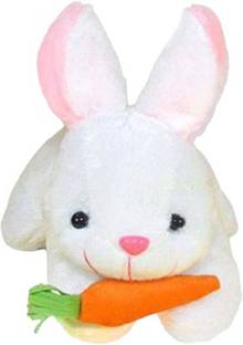 Toyhaven Adorable and lovely RABBIT soft toy/ stuffed animals for kids, gifting, special occasions and home decoration.  - 25 cm