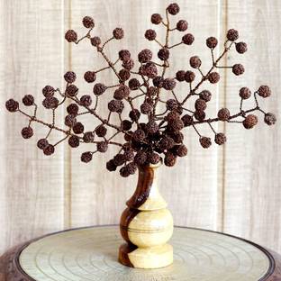 Namisha Rudraksha-Tree/Bouquet, 108 Pcs of Natural 5 Face (Paanch Mukhi) Rudraksha Bunch. Artificial Plant  with Pot