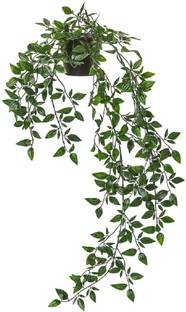 IKEA Artificial Plant  with Pot