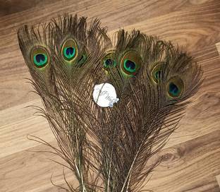 CRAFTWAFT Pack of 5 Decorative Feathers