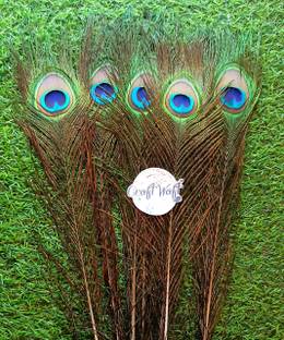 CRAFTWAFT Pack of 5 Decorative Feathers
