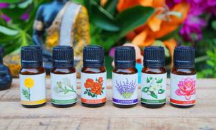 Asian Aura Marigold, Rajnigandha, Freshrose, Lavender, Jasmine, Lotus Aroma Oil Scented Aroma Oil for Diffuser