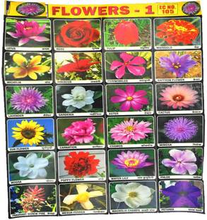 AFH 22 cm Flowers Project Chart Sticker Pack of 2 Educational Sticker Chart Self Adhesive Sticker