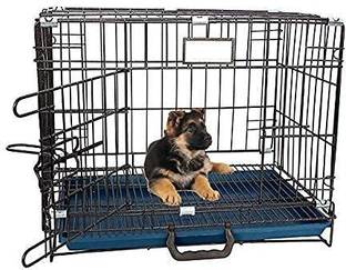 Sip For -New -Born Baby 1 to 3 months -PUPPY Dog, Cat, Miniature Pig, Monkey, Bird, Hamster Cage