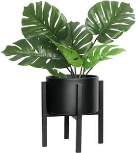 EzzuCrafts Planter Stand Modern Plant Stand for Indoor Outdoor Home Decor Office Living Room etc Color Black Plant Container Set