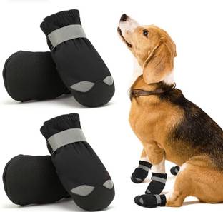 PETANGEL Shoes for Dog, Cat
