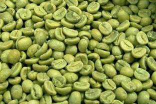 kotaliya Green Coffee Beans for Weight Loss Instant Coffee (200gm*2) Coffee Beans