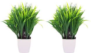 S-Biv Green Artificial Plant And Green Flower with Pot Home And Office Decoration Also birthday Gift, And Study Table Or Table Top Bedroom Décor Artificial Plant Suitable for Every corner of house (18 CM, Pack of 2 ) Green, Multicolor Ballmum Artificial Flower  with Pot