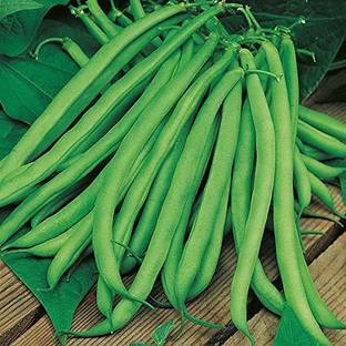 Aywal Green 'Domino' French Beans Seed