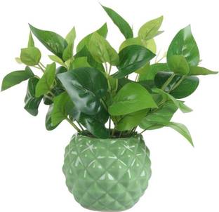 Luminescence Enterprises Gleam Sun Ceramic Round Diamond Shaped Planter/ Flower pot , Colour ( G reen ) Size ( 12.7x12.7x 12.7 ) cm Pack Of 1 Ceramic Vase