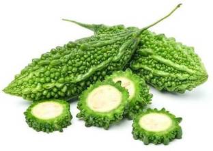 XOLDA Organic Bittergourd (Karela) Seed