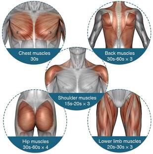 domnikyas Facial 66 FACIAL GUN 01 Fascial Gun Massager Massager (Silver) Facial Massage Gun Portable Vibration Full Body Massager with 4 Heads and 6 Adjustable Speed Vibrators for Neck, Leg, Hand and Back Massager (Multicolor) Massager