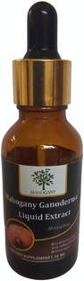 MAHOGANY Reishi (Ganoderma Lucidum) Mushroom Liquid Extract