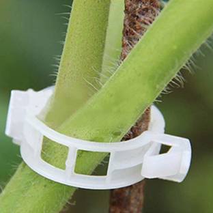 SIDDHI 50PCS Garden Plant Vegetable Support Clips are Used for Grape Vegetables and Tomato Vine Lattice Clips to Make Garden Vegetables Grow Healthy (Transparent Color) Plant Straightener