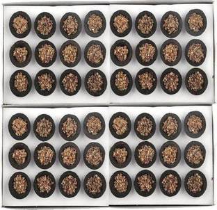 QWEEZER Pure Loban-Sambrani cups with herbs(neem, Sandal, Tulsi & Guggul) Dhoop Cone (Pack of 48) Guggul Dhoop