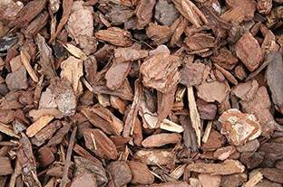 KOO Retails Pine Bark chips 250gm Best use for Orchid Plant Potting Mixture