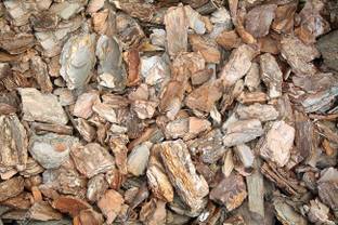 KOO Retails Pine Bark Chips (MOISTURED), Best uses for Arial Rooted Orchid 1kg Manure