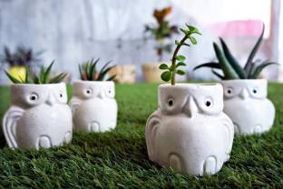 Bright Shop White Colour Owl Shape Pot Miniature Plant Container Set