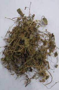 Healthy Herbs Brahmi Booti