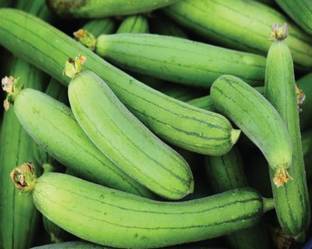 MAA Sponge Gourd, Luffa Seed