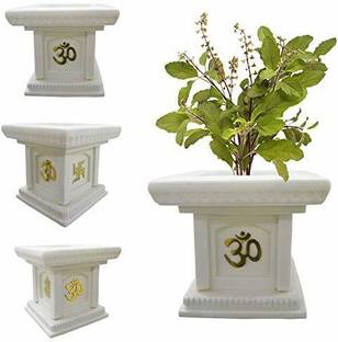The Nursery Tulsi Plant