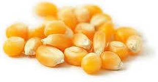 Natural Heaven Popcorn Kernel Seeds (Makka Popcorn) Unpopped Popcorn Seeds (Popcorn Party Pack, Butter Delite PopCorn Kernels) 400 gm Popcorn plan Popcorn