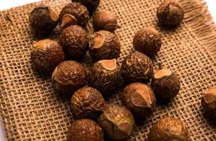 worldex REETHA Seed