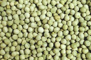 Plantzoin Green peas, Matar chana, Pattani, Vatane, Pisum sativum Seed