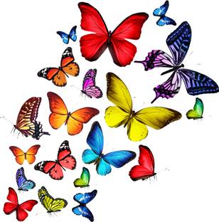 wildartcreation 77 cm Beautiful decorative wall colorful butterflies multicolor decorative wall stick Self Adhesive Sticker