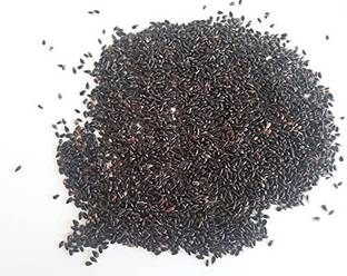 Ravel Super Napier Grass Seed, Australian Red Napier Grass Seed
