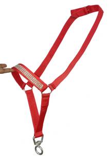 Riderworld Plain Cow Collar Charm