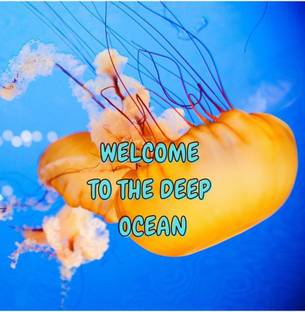 Welcome to the Deep Ocean