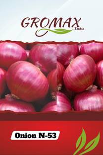 Gromax India Onion N-53, 40 seeds per packets Seed