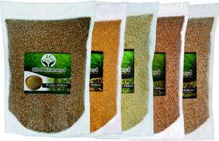 HDC SIRIDHANYA Unpolished & Organic Healthy Mix Millets (Little Foxtail Kodo Browntop Barnyard ) High Protein Nutrien Powerhouse & 100% more Fibre than Wheat 1 Kg Each (Combo : - Pack of 5) Kodo Millet