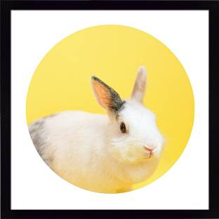Ritwika's Abstract Wall Art Of Boho Rabbit In Yellow With Frame for Home and Office Decor Digital Reprint 13.5 inch x 13.5 inch Painting