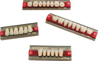 pyrax Dental Health & Wealth Double Layer Resin Teeth Type (23/438- A1) Dental Elevator