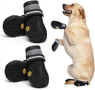 KUTKUT Shoes for Dog